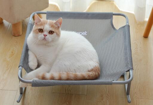 Universal Cat Bed for Small Dogs and Cats, Washable