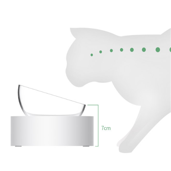 Adjustable Cat Bowl with Dual Bowls for Feeding