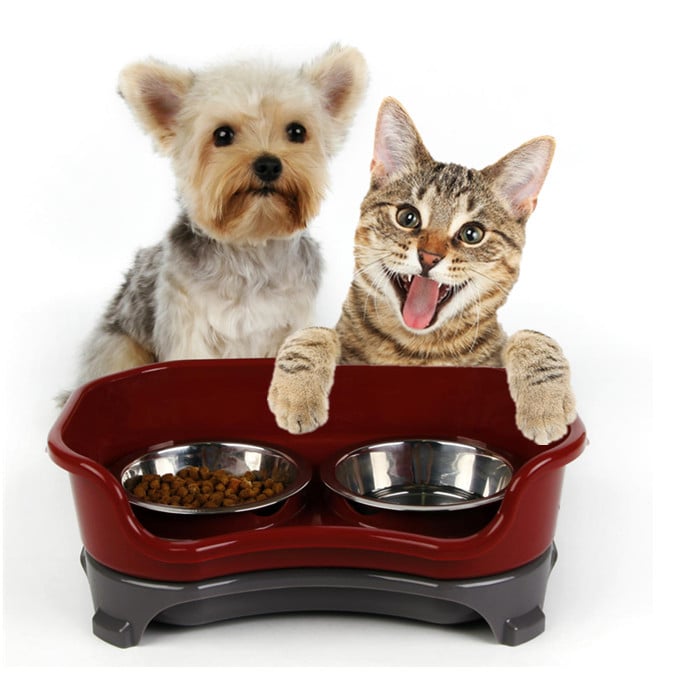 Stainless Steel Double Pet Bowl for Dogs and Cats