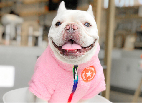Heyelf Dog Winter Coat for Teddy Bears and Small Pets