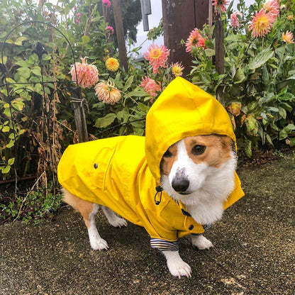Windproof and Waterproof Dog Raincoat for Pets