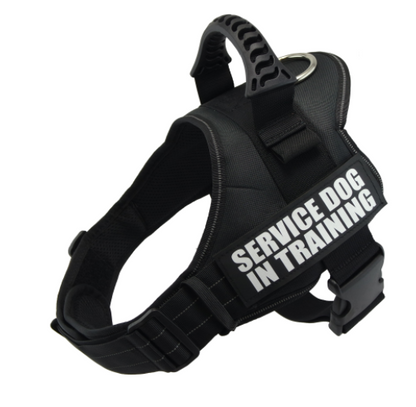 Explosion-Proof Chest Harness for Pets Leash