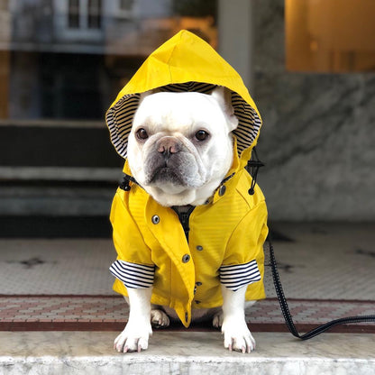 Windproof and Waterproof Dog Raincoat for Pets