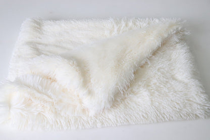 Double Layer Plush Pet Blanket for Dogs and Cats