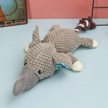 Small Dog Puppy Molar Chew Toy for Dental Care