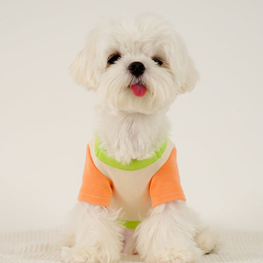 Puppy Dog Color Clash Home Wear Bottom Shirt