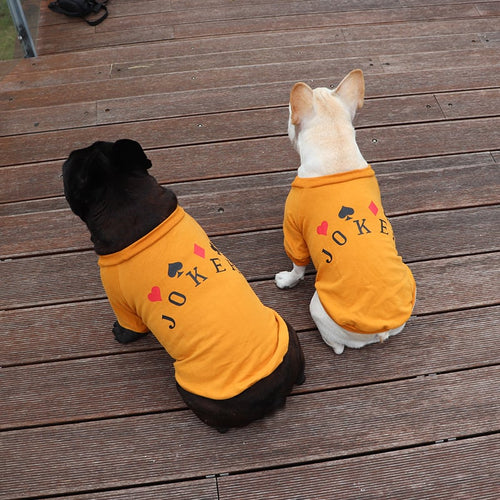 Schnauzer Teddy Dog Sweatshirt for Small Pets