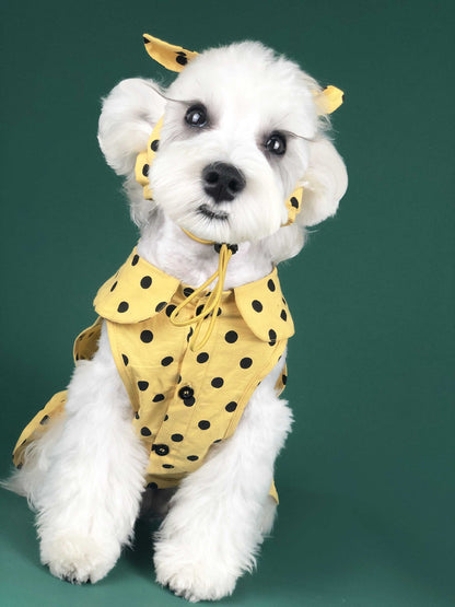 Summer Cute Princess Dress for Small Dogs and Cats