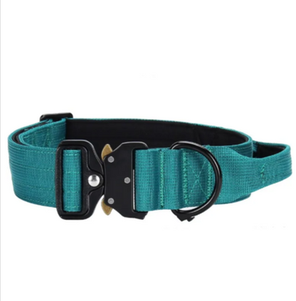 Nylon Explosion-Proof Dog Collar