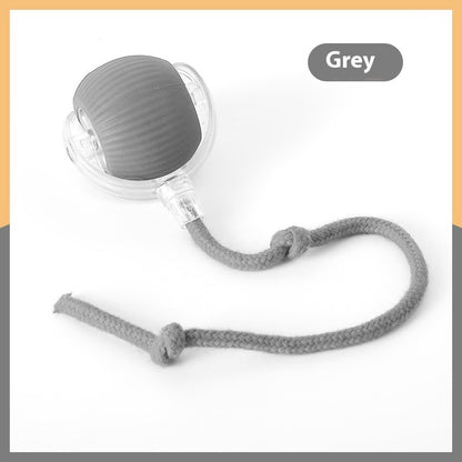 Interactive Cat Ball Toy