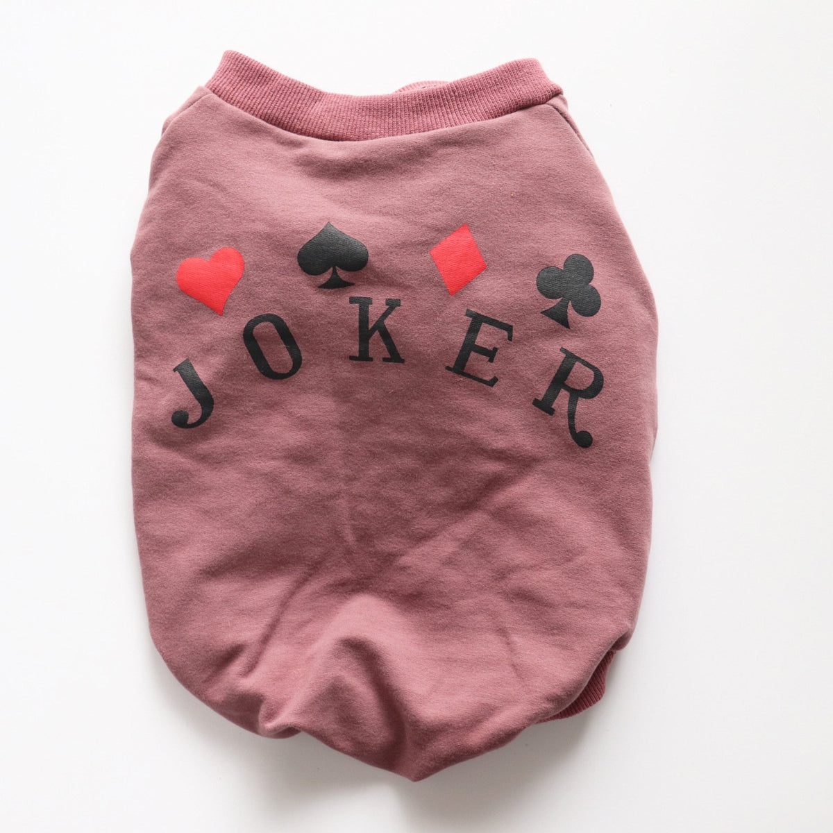 Schnauzer Teddy Dog Sweatshirt for Small Pets